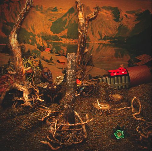 First Look: Robert Gomez - "Pine Sticks & Phosphorous"
